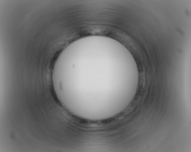 X0000115550510200911061129