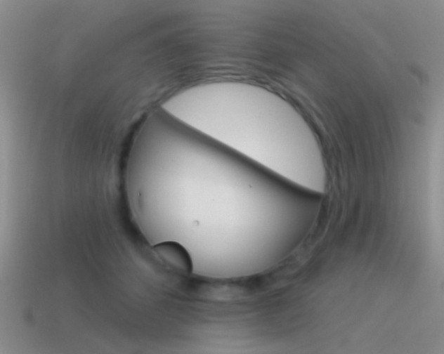 X0000115550512200911061129