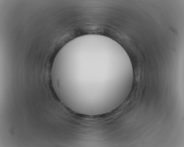 X0000115550515200911061129