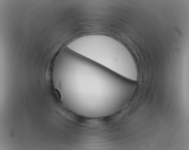 X0000115550516200911061129