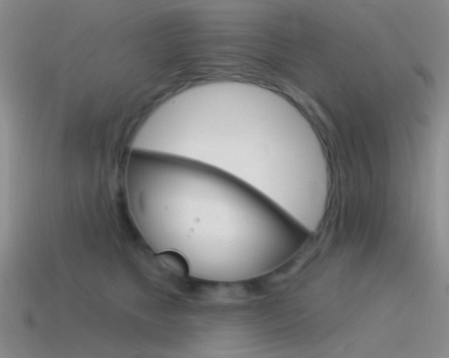 X0000115550517200911061129
