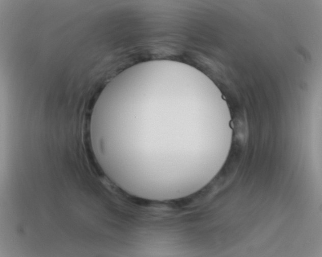 X0000115550519200911061129