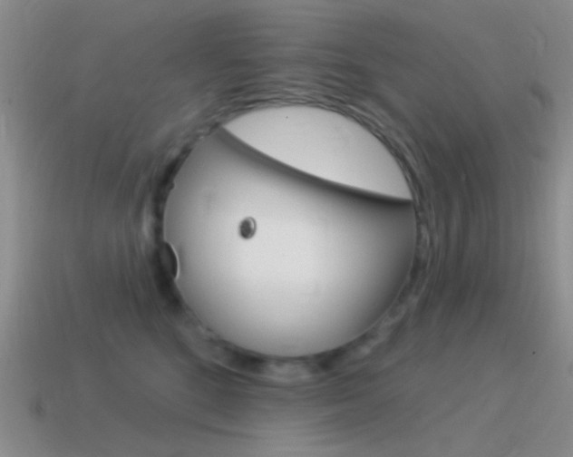X0000115550520200911061129