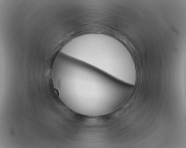 X0000115550521200911061129
