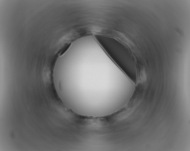 X0000115550524200911061129