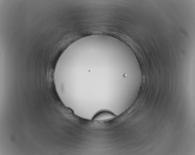 X0000115550525200911061129