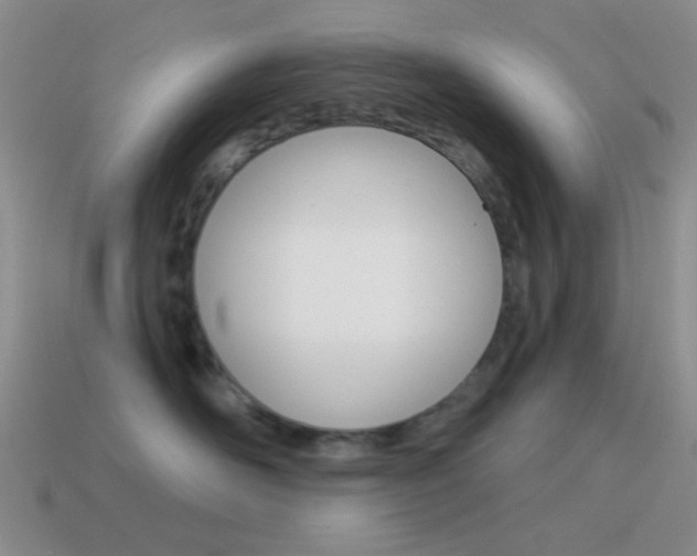 X0000115550526200911061129