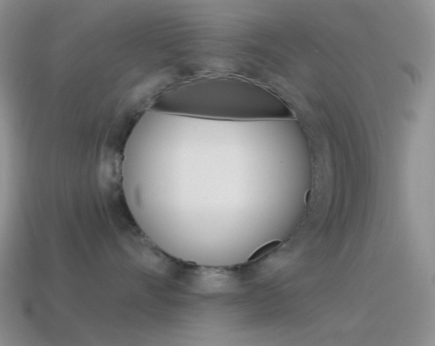 X0000115550528200911061129