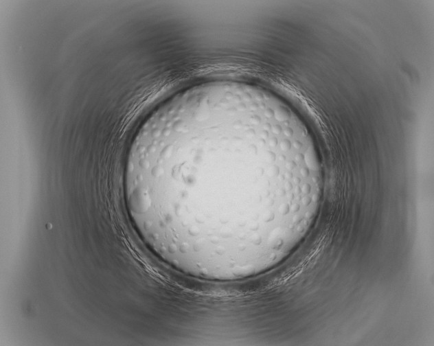 X0000115550529200911061129