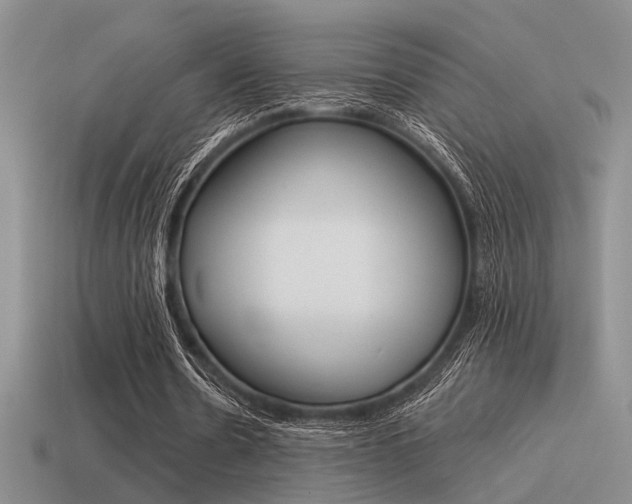 X0000115550530200911061129