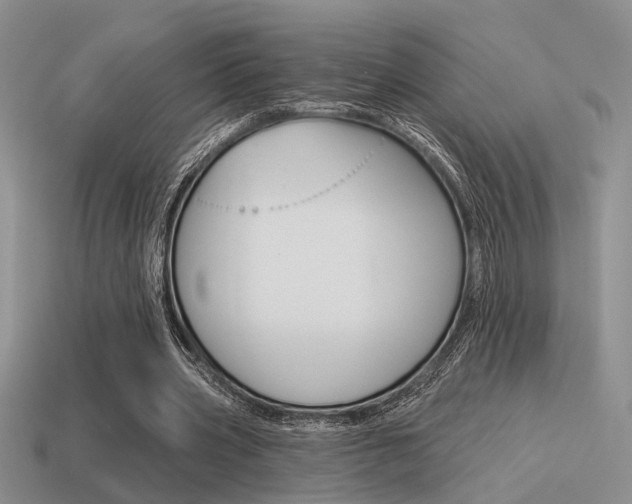 X0000115550533200911061129