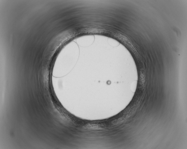 X0000115550534200911061129