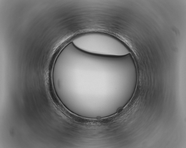 X0000115550535200911061129