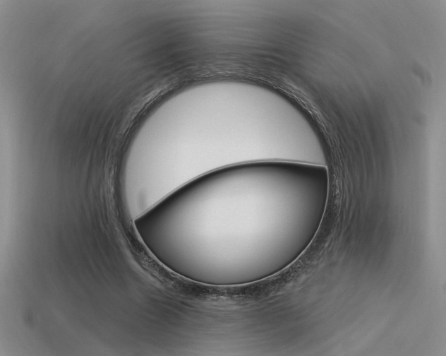 X0000115550538200911061129