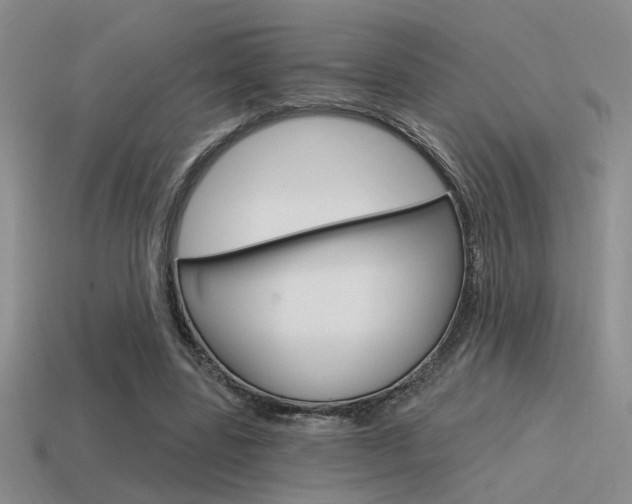 X0000115550539200911061129