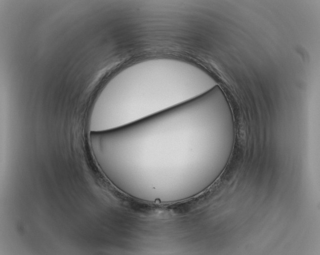 X0000115550543200911061129