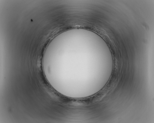 X0000115550545200911061129