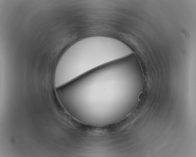 X0000115550546200911061129