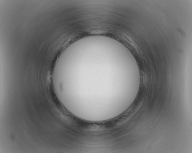 X0000115550549200911061129
