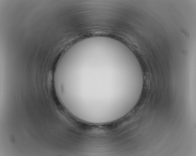 X0000115550550200911061129