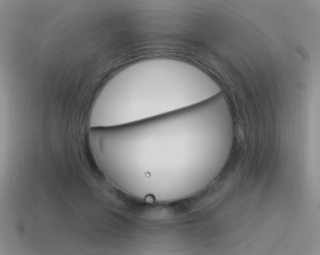 X0000115550551200911061129