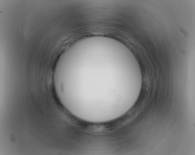 X0000115550554200911061129