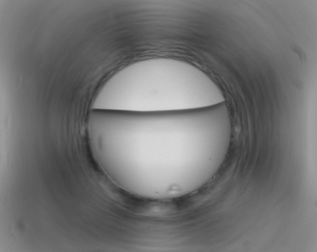 X0000115550555200911061129