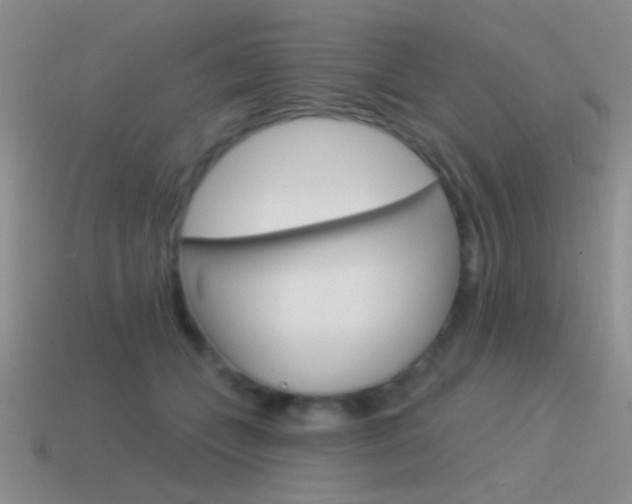 X0000115550559200911061129