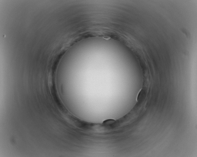 X0000115550562200911061129