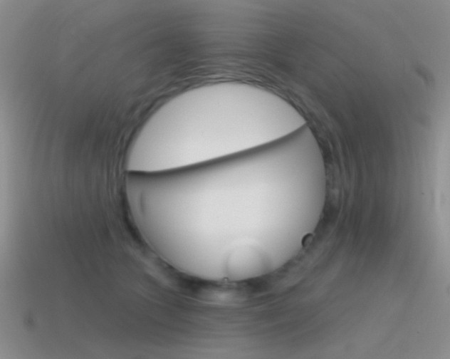 X0000115550563200911061129
