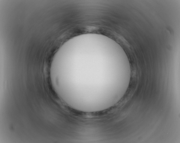 X0000115550565200911061129