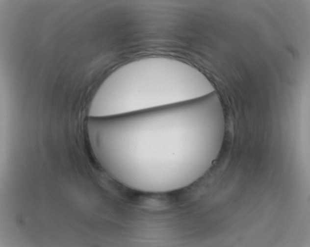 X0000115550567200911061129