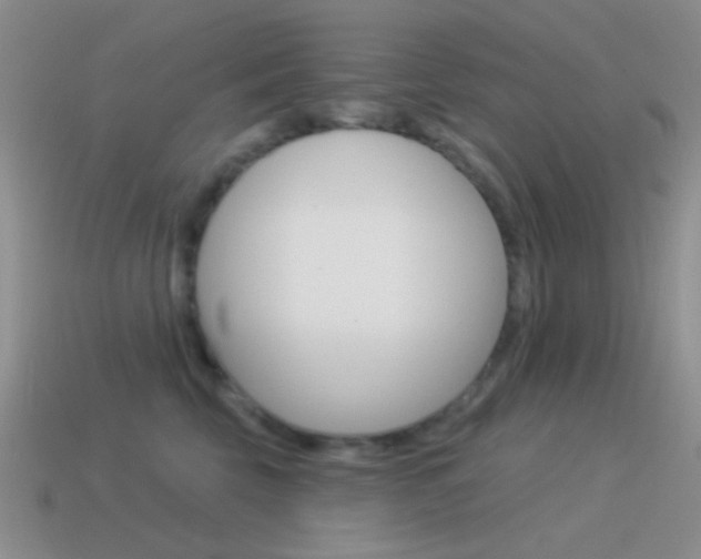 X0000115550569200911061129