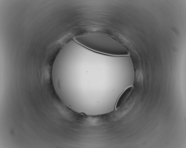 X0000115550570200911061129