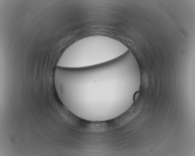 X0000115550571200911061129