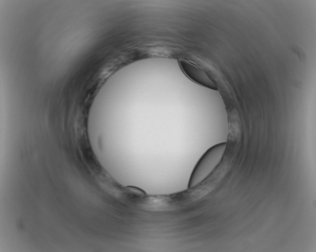 X0000115550573200911061129