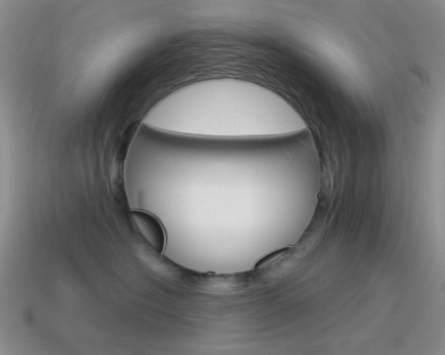 X0000115550574200911061129