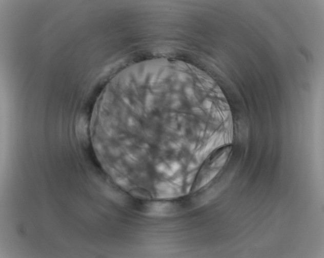 X0000115550575200911061129