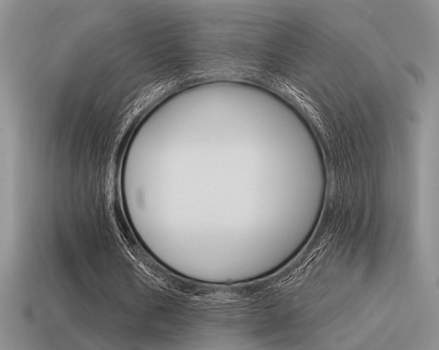 X0000115550578200911061128