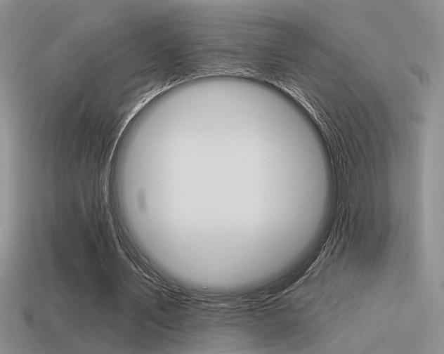 X0000115550579200911061128