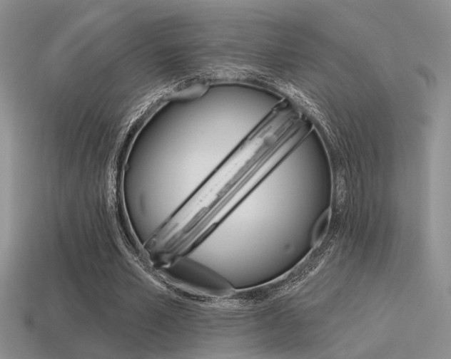 X0000115550581200911061128