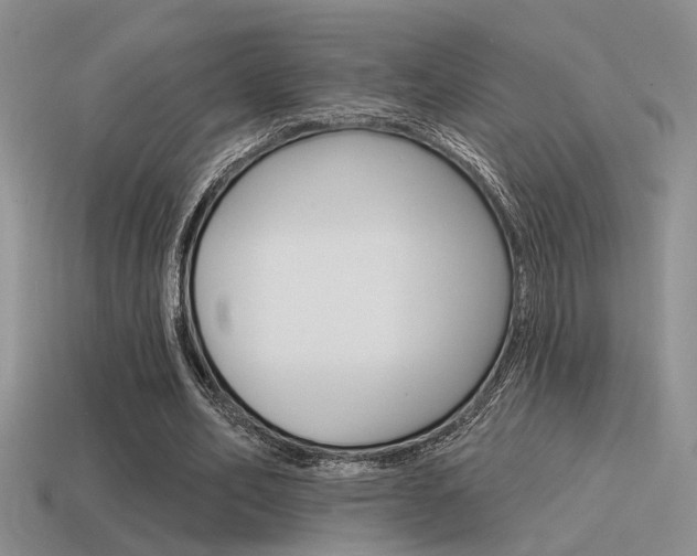 X0000115550582200911061128