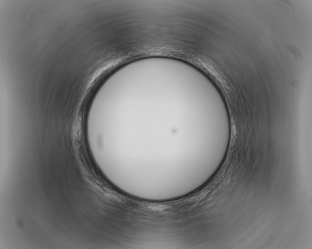 X0000115550583200911061128