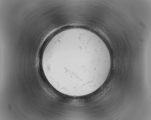 X0000115550584200911061128
