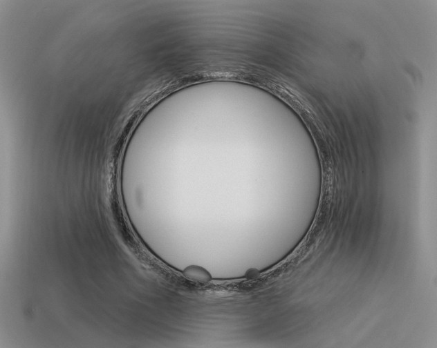 X0000115550586200911061128