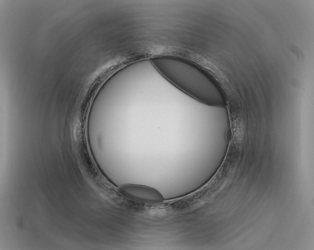 X0000115550587200911061128