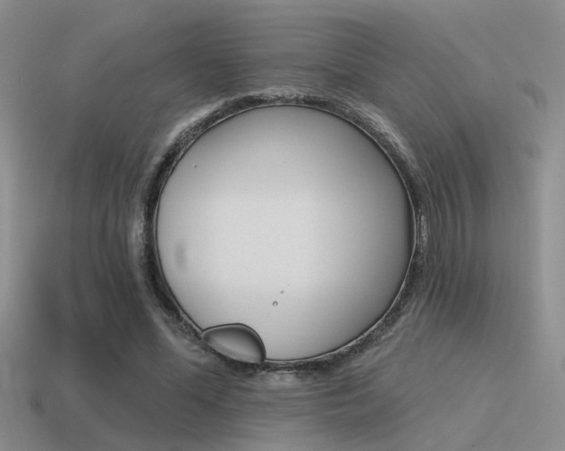 X0000115550588200911061128
