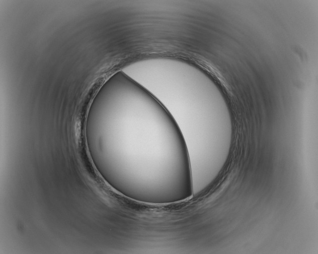 X0000115550589200911061128