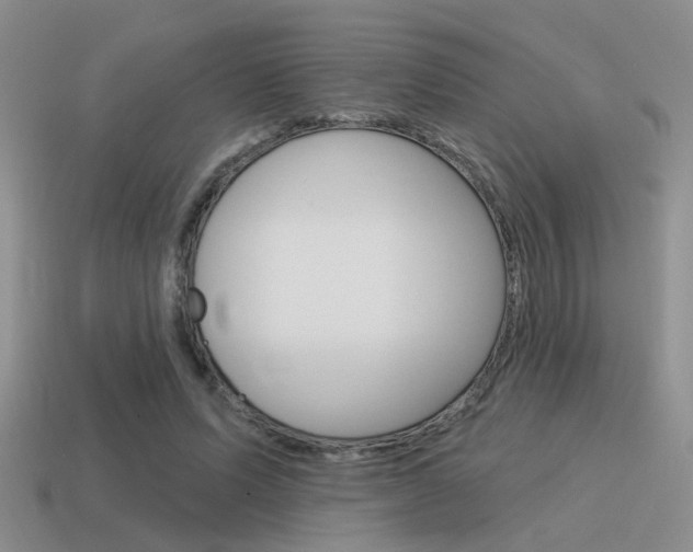 X0000115550591200911061128