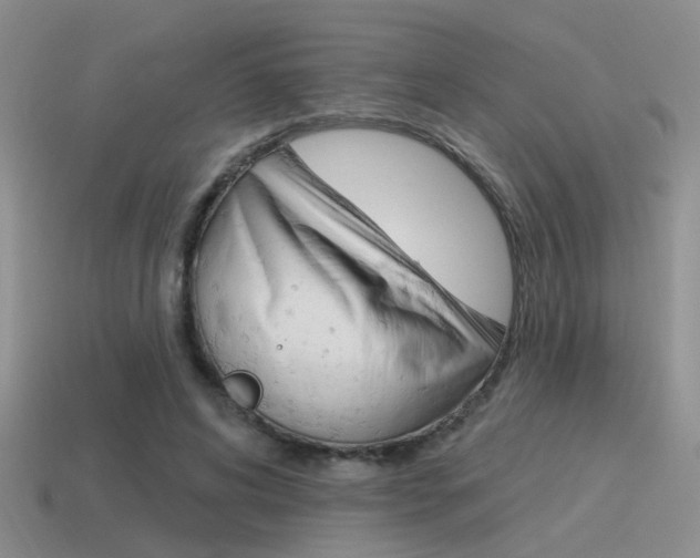 X0000115550592200911061128